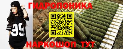дмт Гагарин