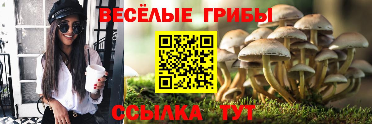 Псилоцибиновые грибы Magic Shrooms  Псилоцибиновые грибы мухоморы  Вход с VPN  Муравленко 